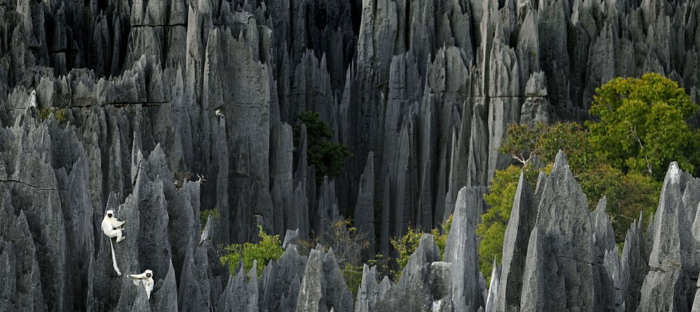 Tsingy the stone knife Forest Madagasca 