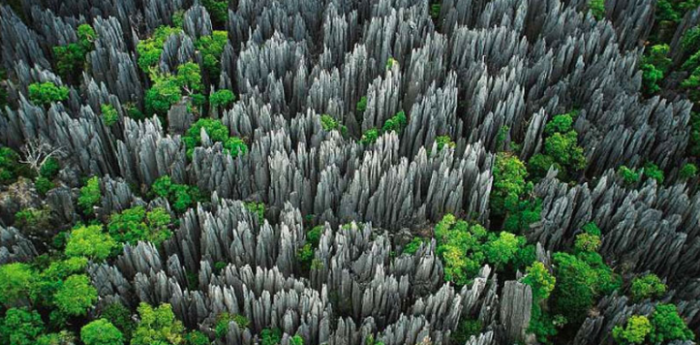 Tsingy the stone knife Forest Madagascar