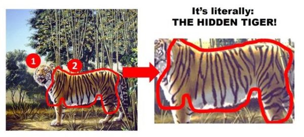 hidden tiger puzzle