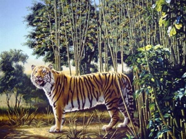 hidden tiger in a painting
