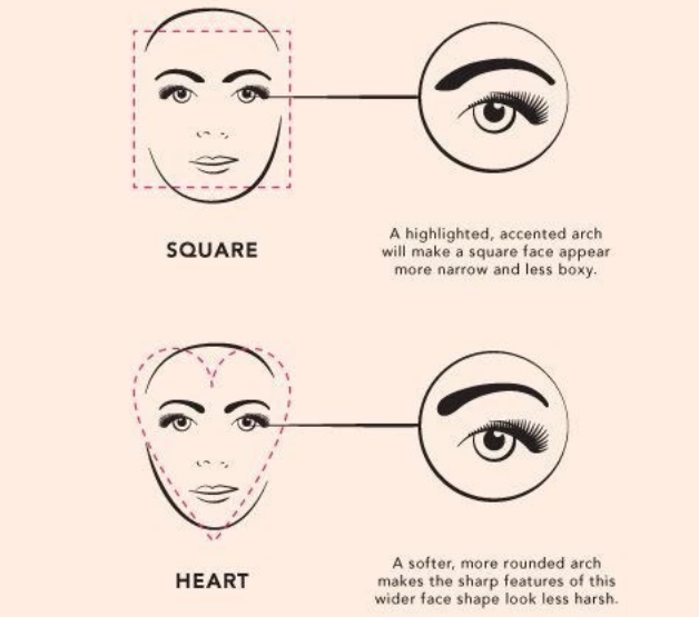 Find your ideal eyebrow shape2