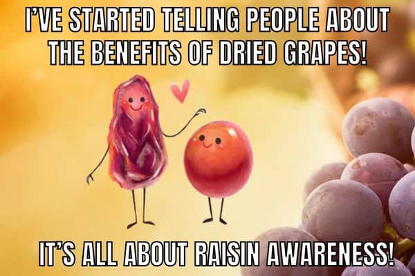Dad-Joke-Meme-On-Raisin