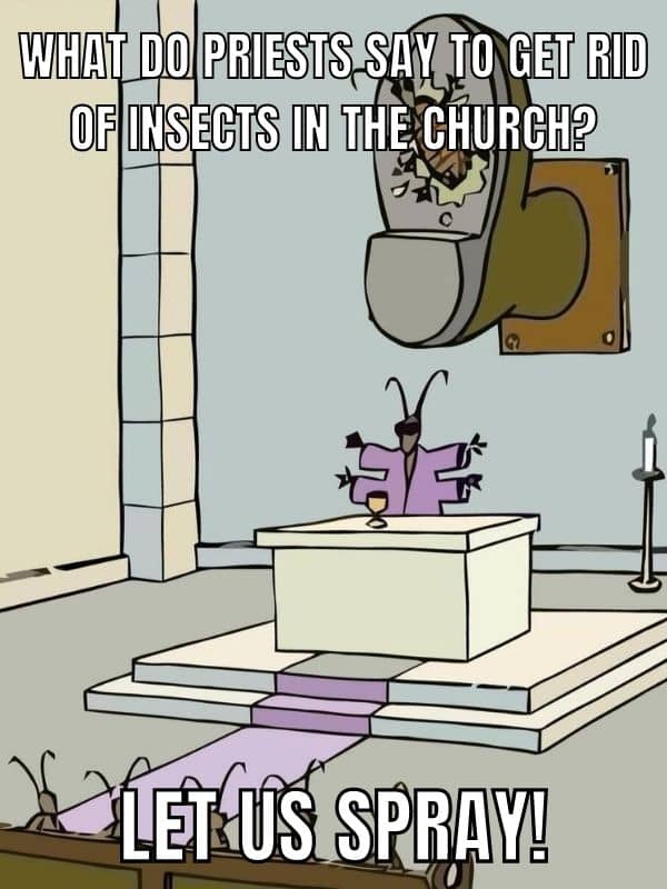 Dad-Joke-on-Insect