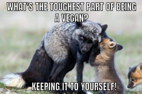 Dad-Joke-on-Vegan