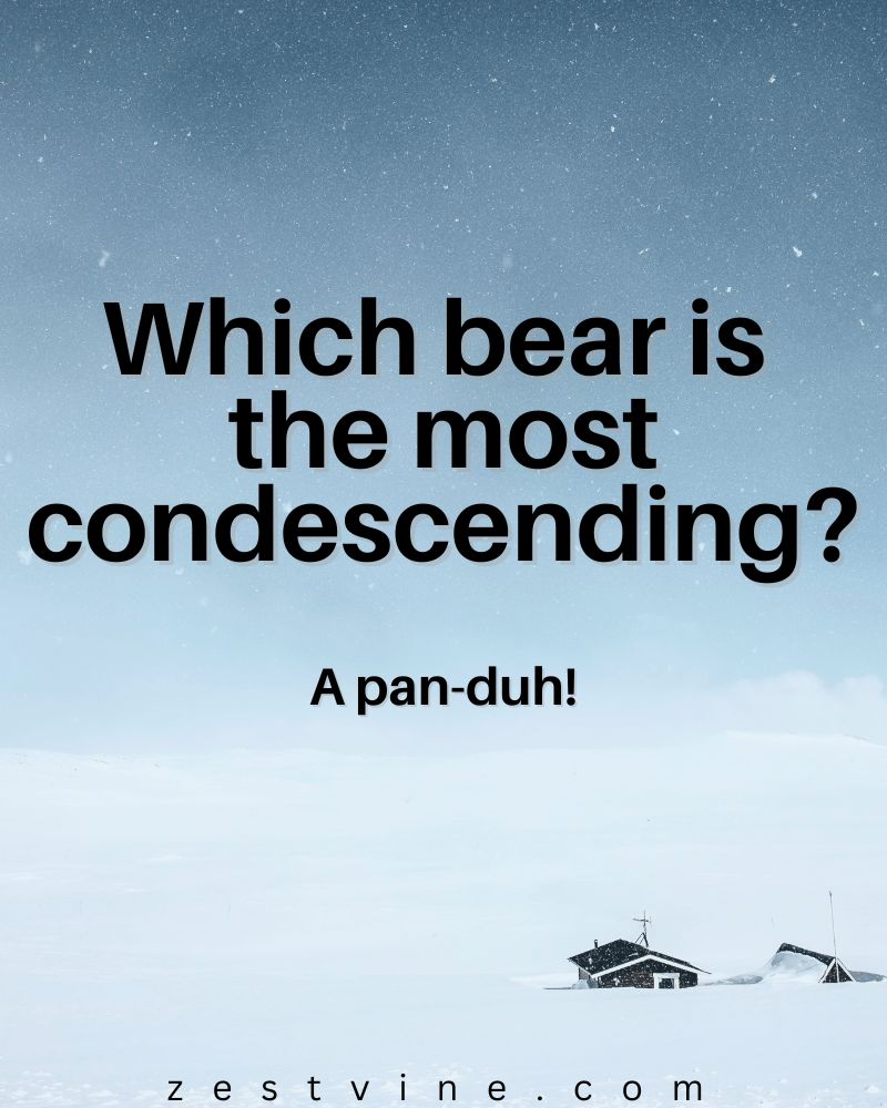 Dad Jokes