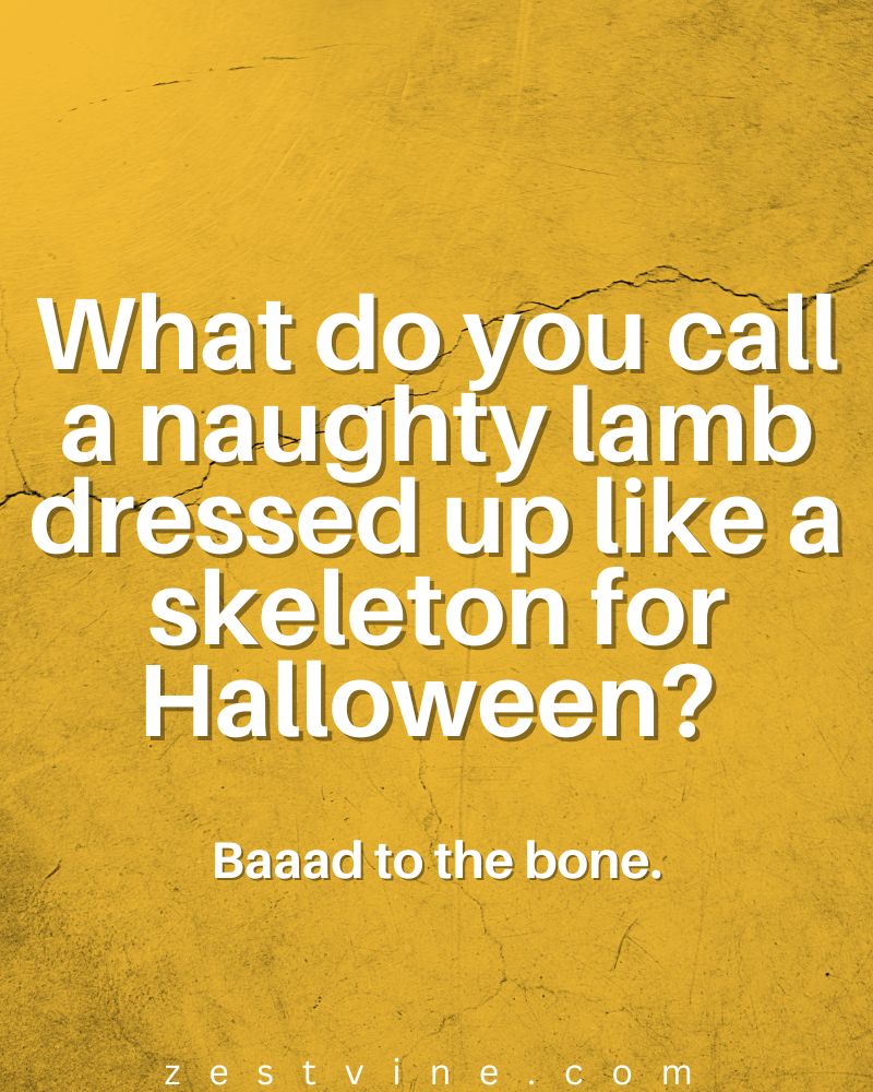 Funniest Dad Jokes