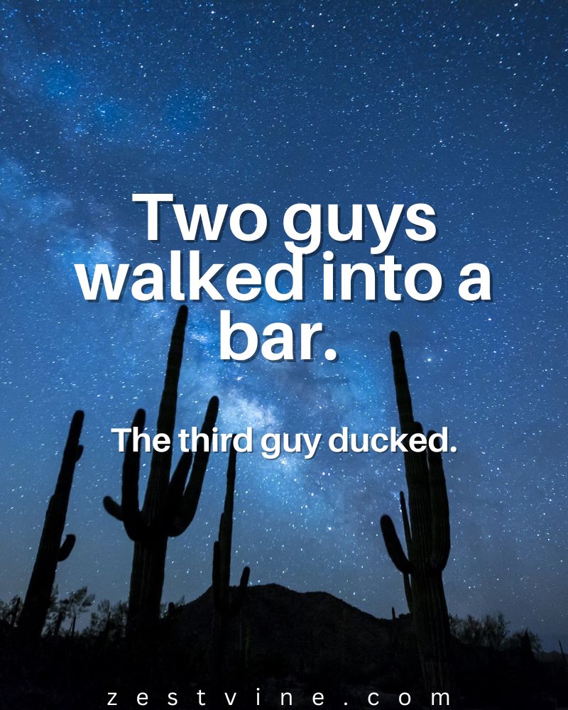 Hilarious Dad Jokes