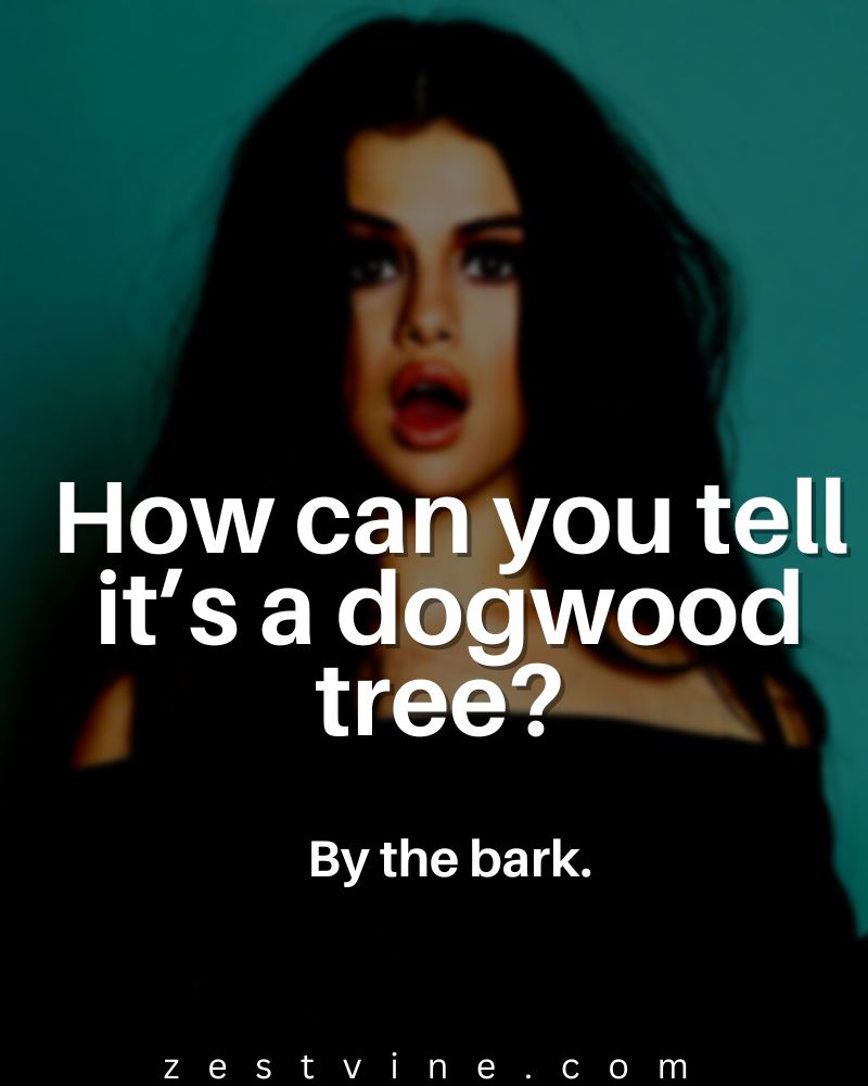 Thanksgiving Dad Jokes 21