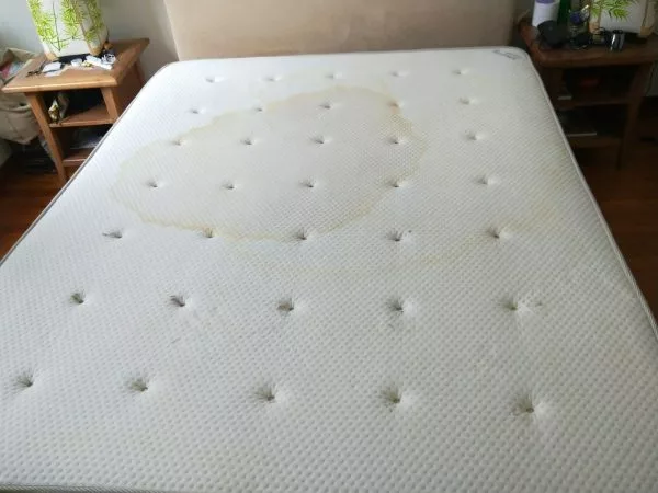 dark stains on beddings