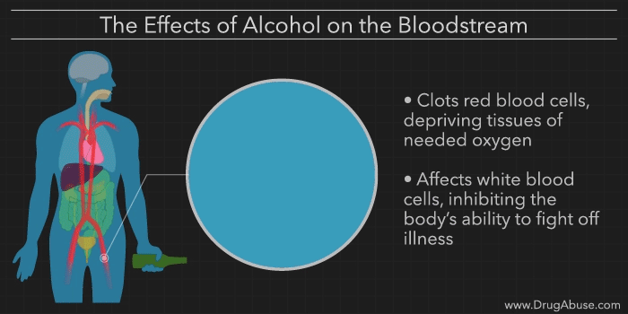 alcohol affects human body