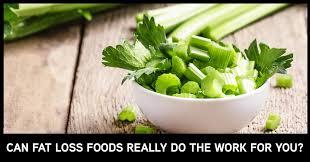 facts about fat loss food