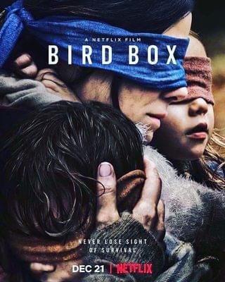 bbird box - Horror Movies to Watch on Netflix