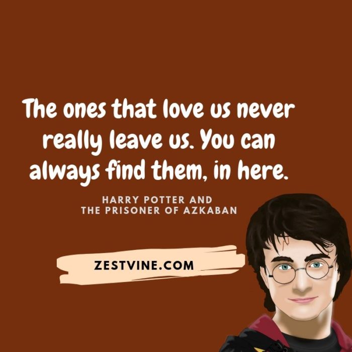 Harry Potter Quotes