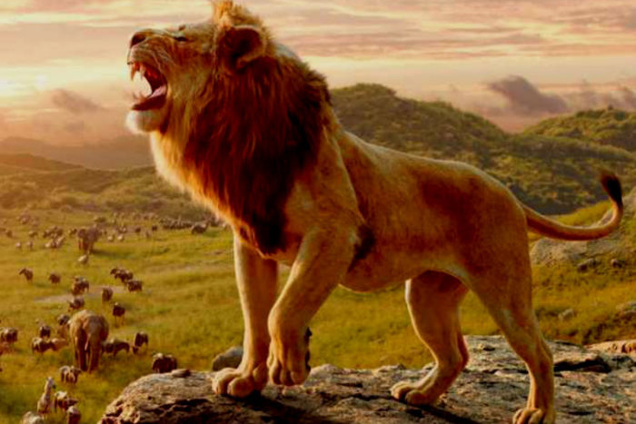 Tamilrockers Leaked The Lion King Full Movie Online Zestvine