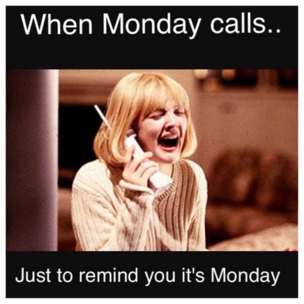 32 Funniest Monday Memes Can Relate What You Feel On Monday - ZestVine ...