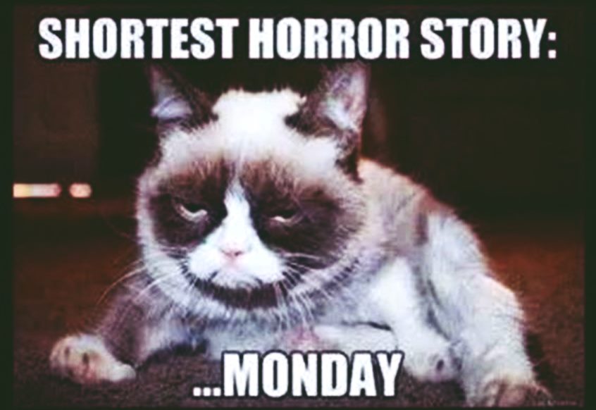 32 Funniest Monday Memes Can Relate What You Feel On Monday - ZestVine ...