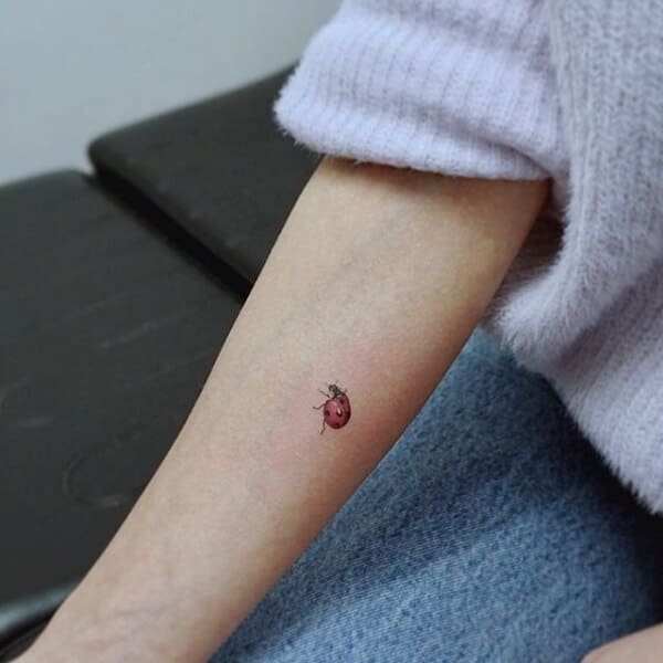Ladybug-Tattoo-Meaningful tattoo ideas for girls