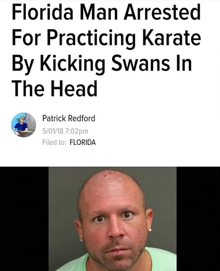 Florida Man Jokes