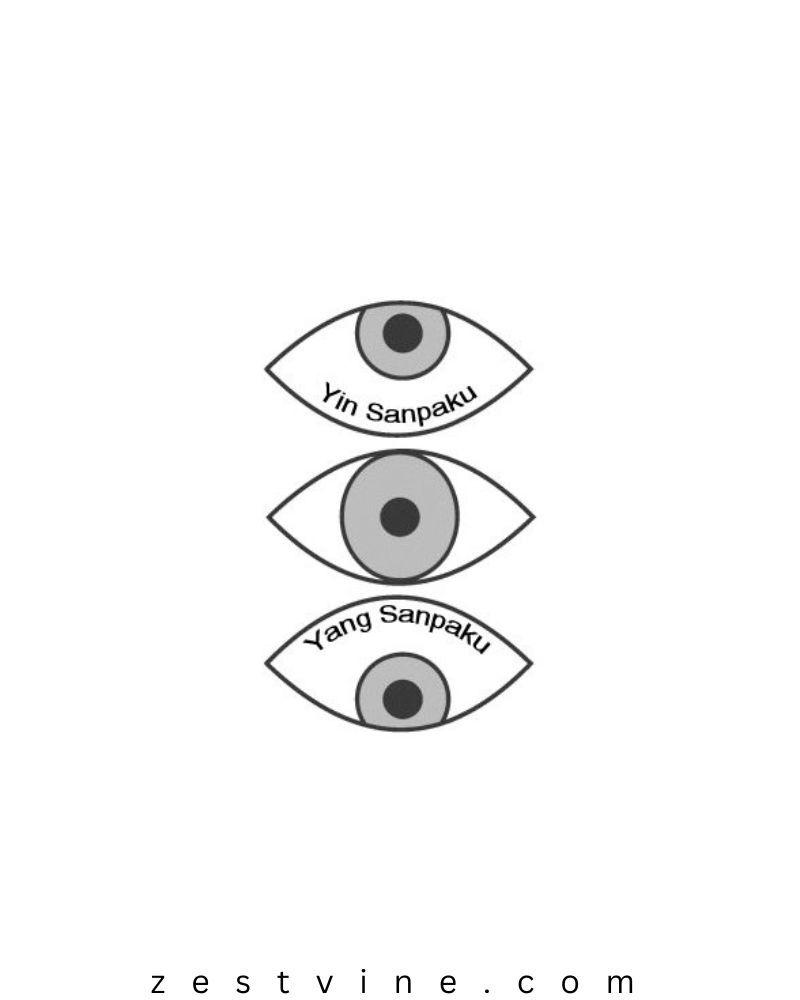 Yin Yang Sanpaku Eyes meaning feature